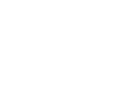 Logo Sat White